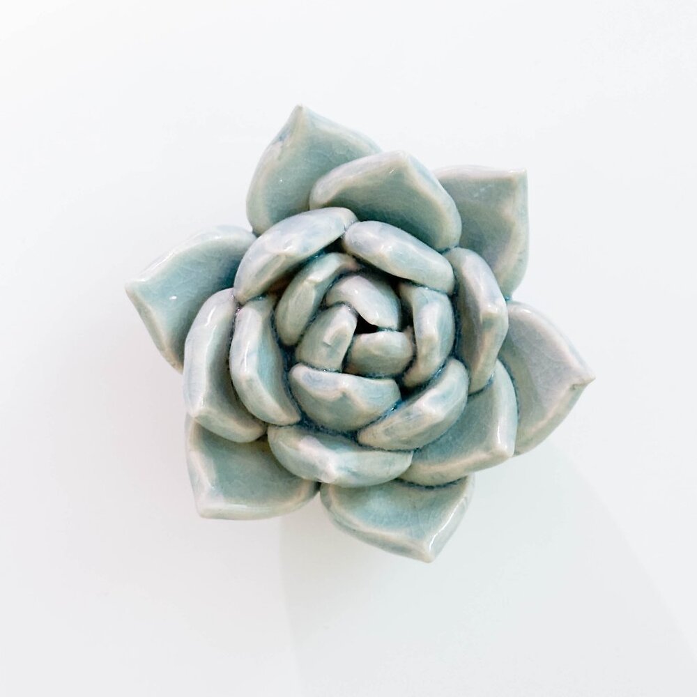 Ceramic Succulent Decor